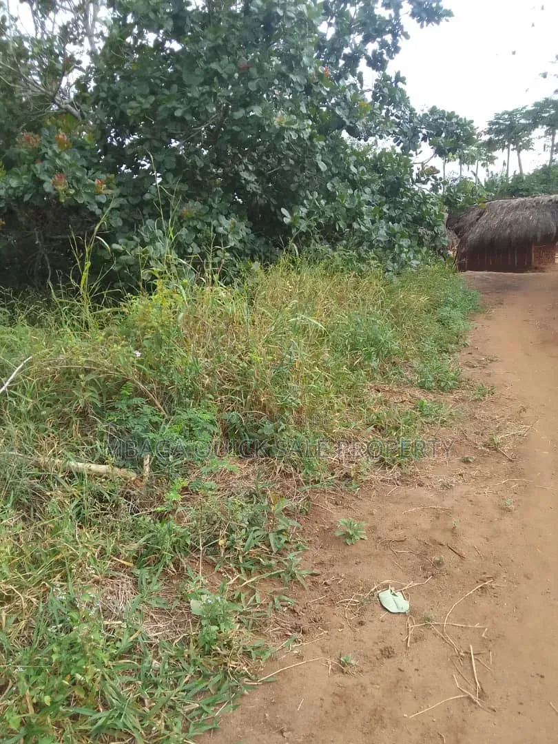 Farm for Sale With 6 Acres for Sale TSH 9,500,000 at Mbwewe Chalinze