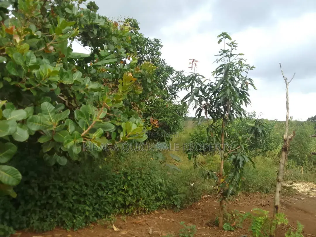 Farm for Sale With 6 Acres for Sale TSH 9,500,000 at Mbwewe Chalinze