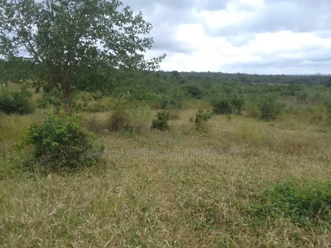 Farm for Sale With 6 Acres for Sale TSH 9,500,000 at Mbwewe Chalinze