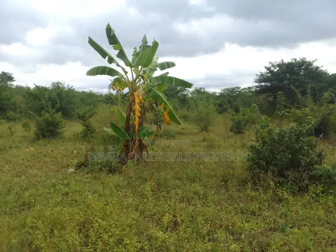 Farm for Sale With 6 Acres for Sale TSH 9,500,000 at Mbwewe Chalinze