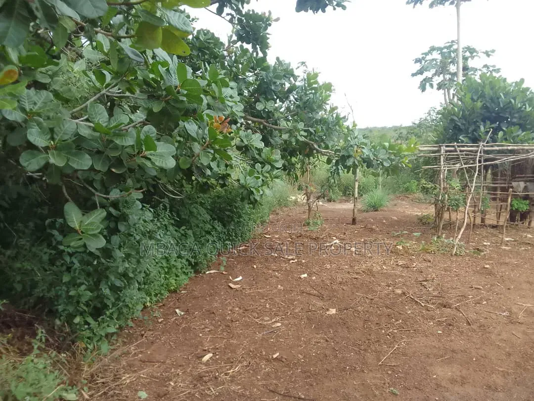 Farm for Sale With 6 Acres for Sale TSH 9,500,000 at Mbwewe Chalinze