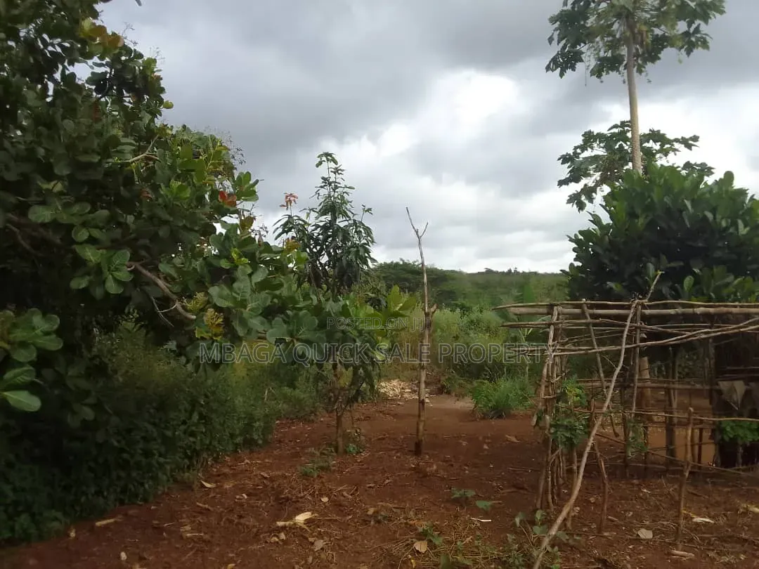 Farm for Sale With 6 Acres for Sale TSH 9,500,000 at Mbwewe Chalinze