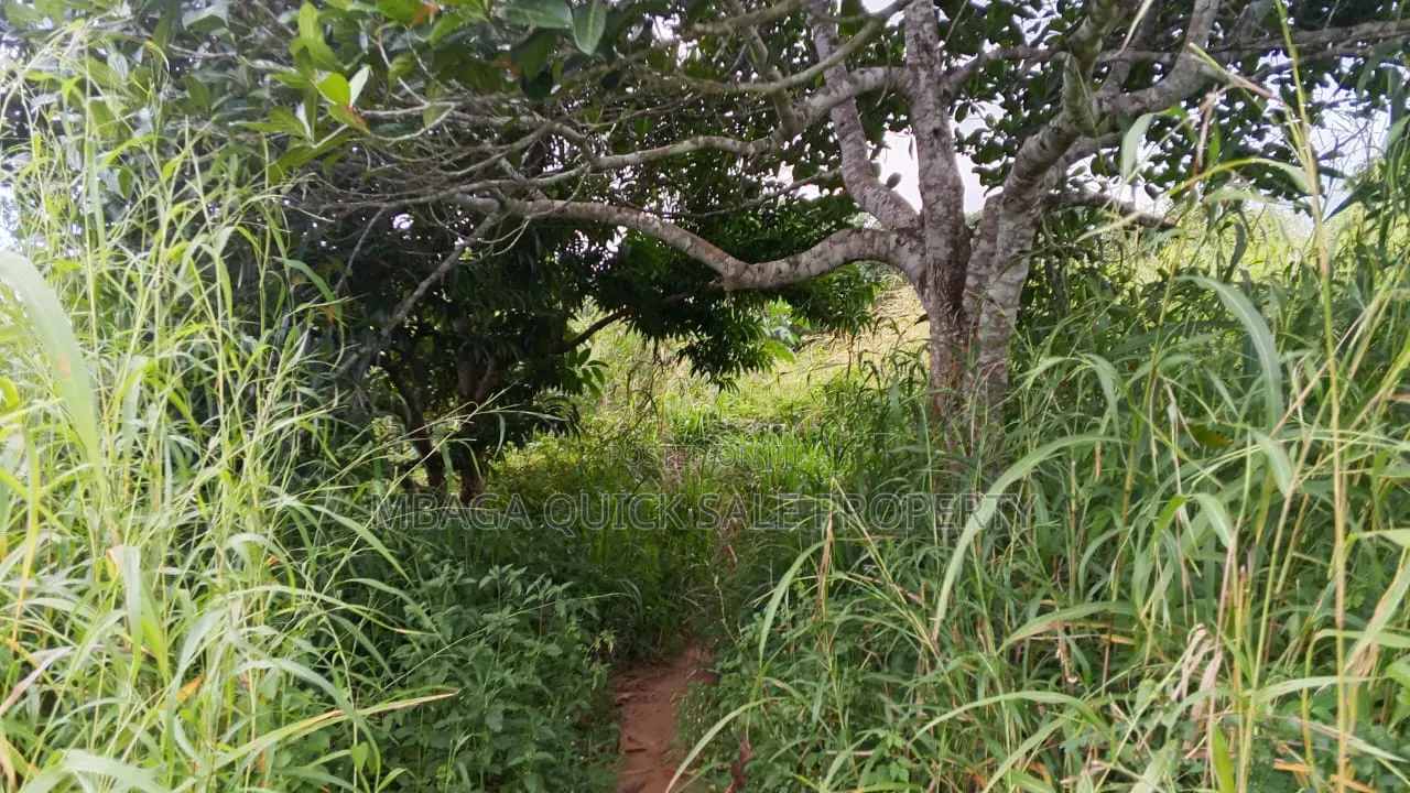 Farm With 20 Acres for Sale in Chalinze Mbwewe