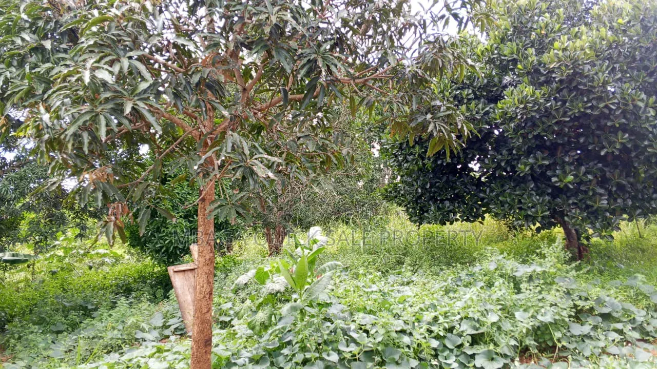 Farm With 20 Acres for Sale in Chalinze Mbwewe