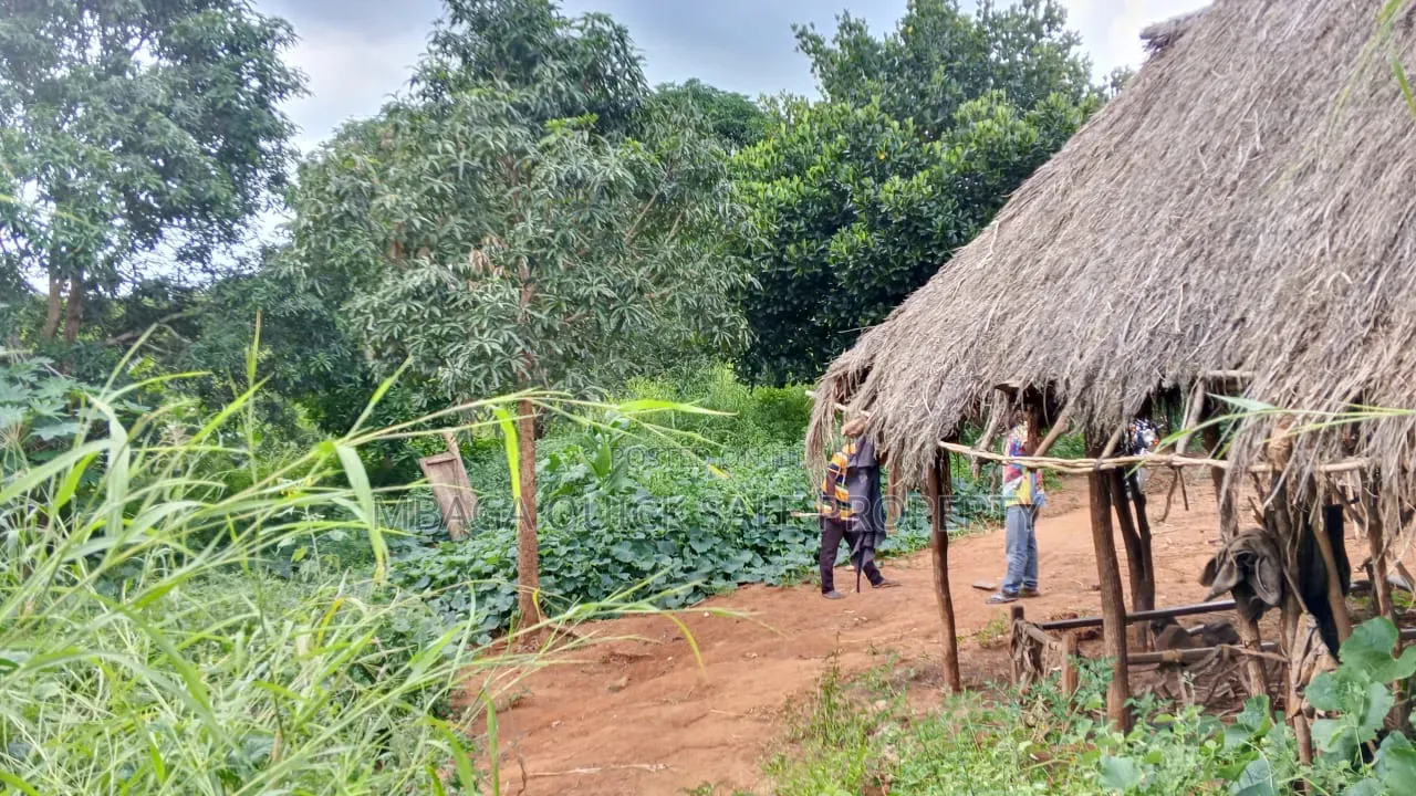 Farm With 20 Acres for Sale in Chalinze Mbwewe