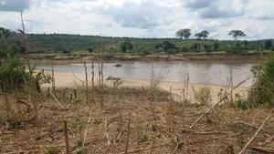 Mashamba Ya Mtoni Ya Kukodi Au Kununua Ya Napatikana Bagamoyo