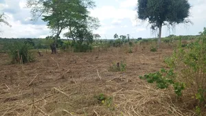 Mashamba Ya Mtoni Ya Kukodi Au Kununua Ya Napatikana Bagamoyo