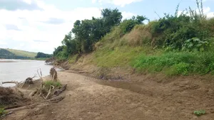 Mashamba Ya Mtoni Ya Kukodi Au Kununua Ya Napatikana Bagamoyo