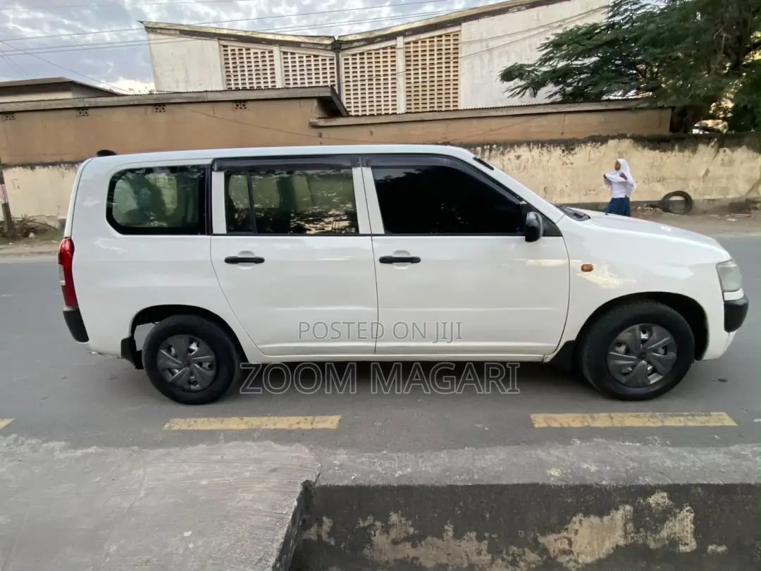Toyota Probox 2006 White