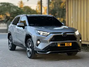 Toyota RAV4 2023 Gray