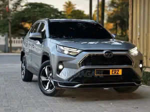 Toyota RAV4 2023 Gray