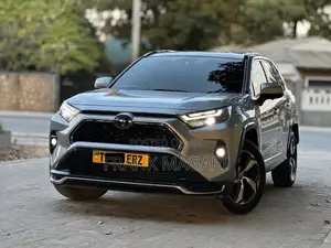 Toyota RAV4 2023 Gray