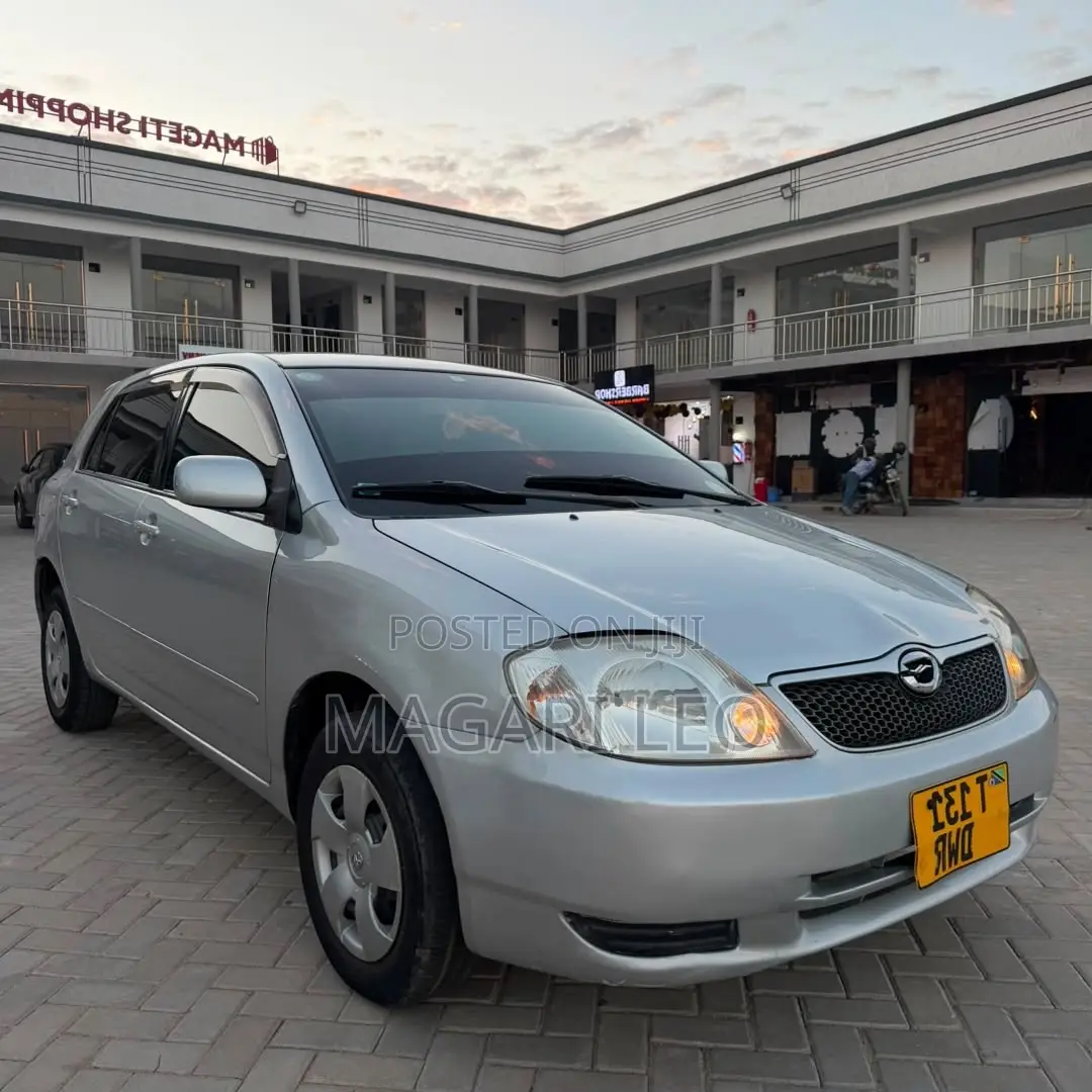 Toyota Corolla RunX 1.5 X AWD 2004 Silver