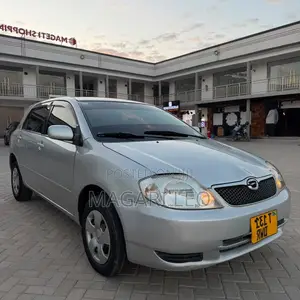 Toyota Corolla RunX 1.5 X AWD 2004 Silver