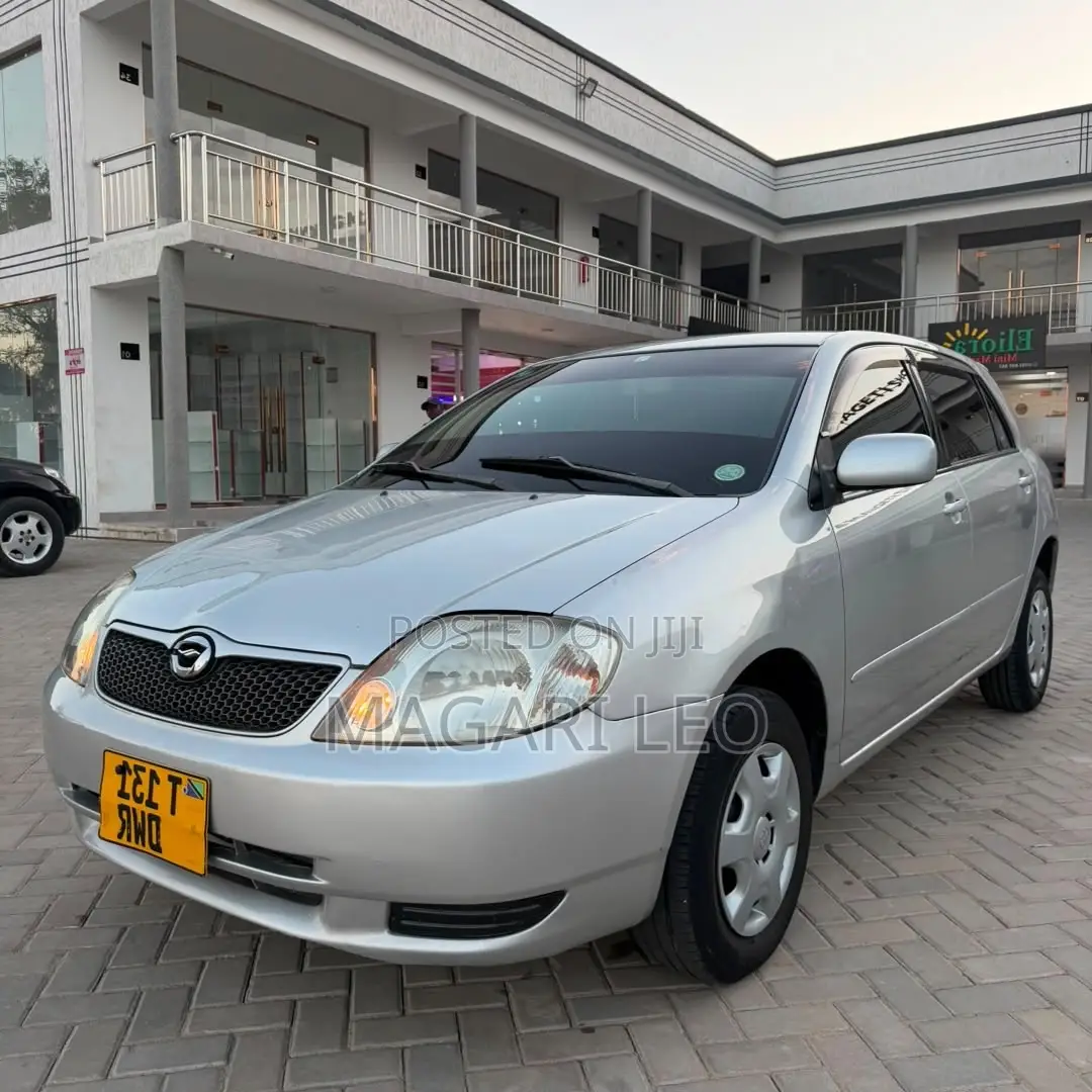 Toyota Corolla RunX 1.5 X AWD 2004 Silver