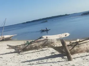 Beach Plot With 30 Acres for Sale at Bagamoyo Zinga