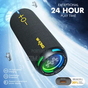 W-King D320 40W RMS Compact Bluetooth Speaker for Travel
