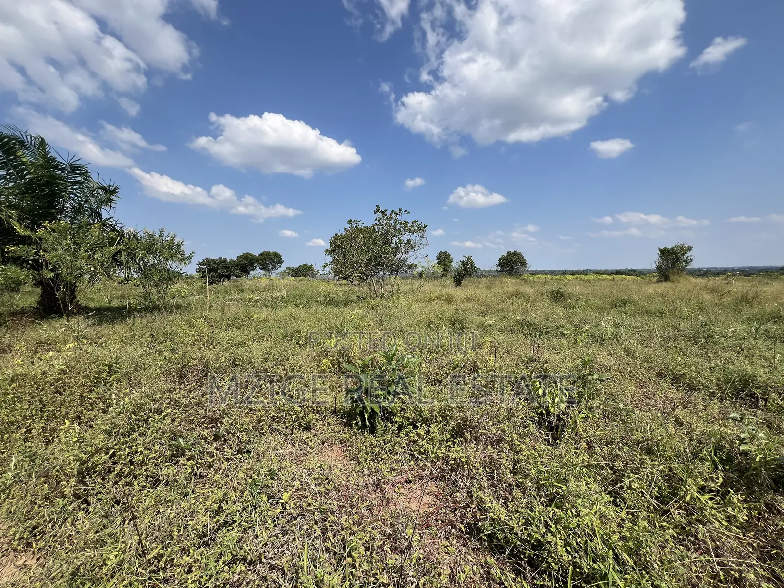 Exceptional Opportunity – 140 Acres Plot in Kimbwanindi, Mkuranga
