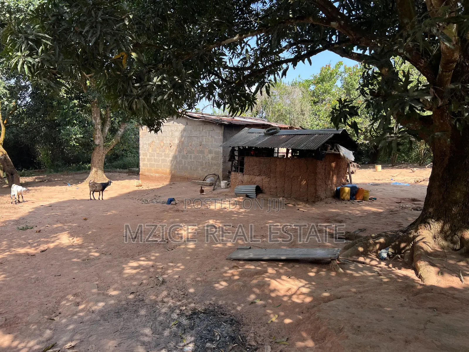 Exceptional Opportunity – 140 Acres Plot in Kimbwanindi, Mkuranga