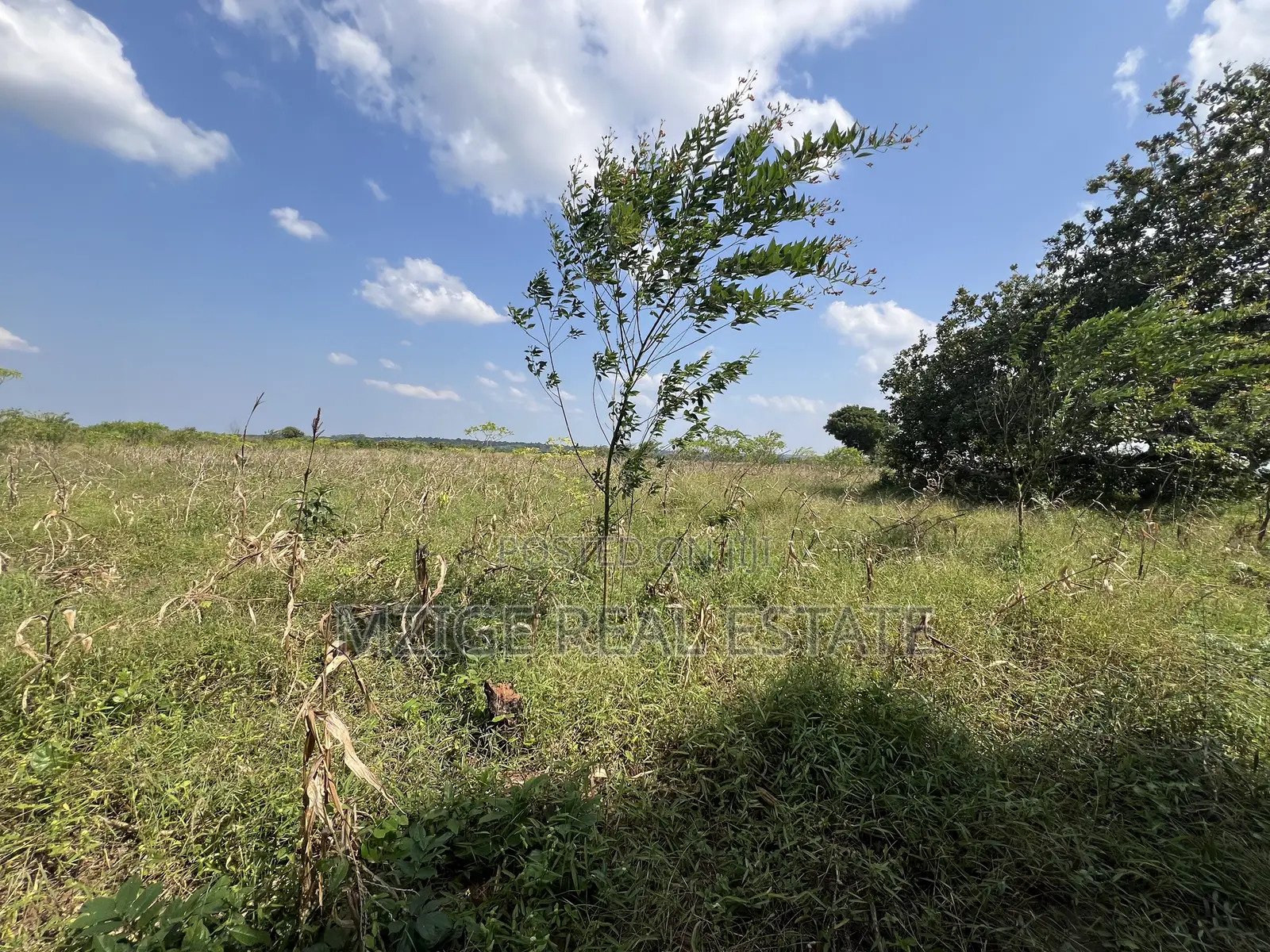 Exceptional Opportunity – 140 Acres Plot in Kimbwanindi, Mkuranga