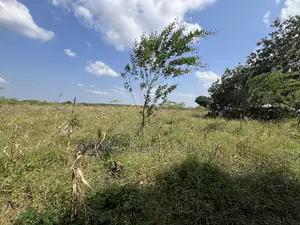 Exceptional Opportunity – 140 Acres Plot in Kimbwanindi, Mkuranga