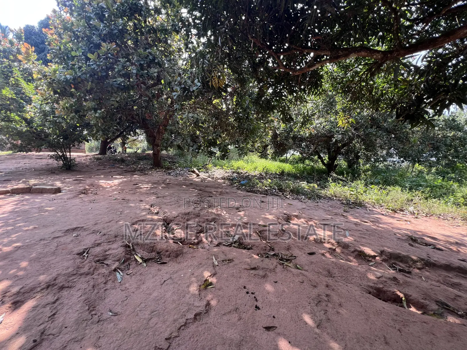 Exceptional Opportunity – 140 Acres Plot in Kimbwanindi, Mkuranga