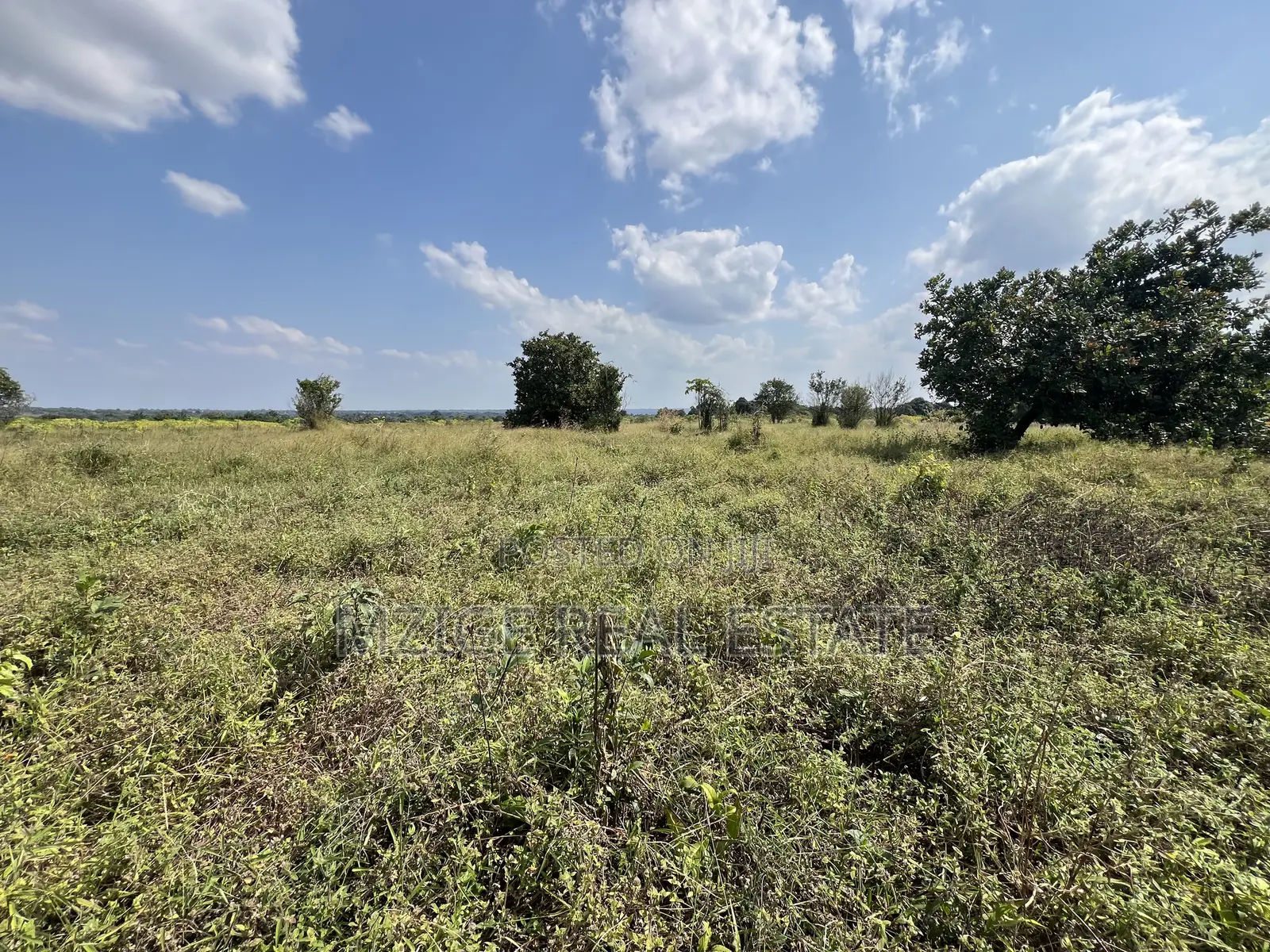 Exceptional Opportunity – 140 Acres Plot in Kimbwanindi, Mkuranga