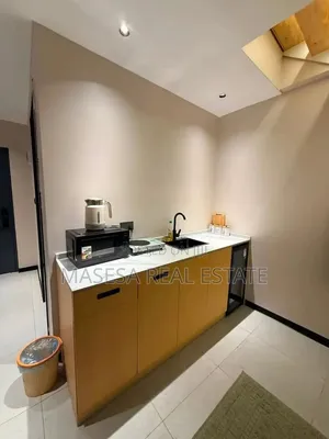 Furnished 1bdrm Duplex in Masaki for rent