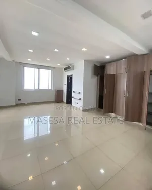 2bdrm Penthouse in Upanga East for rent