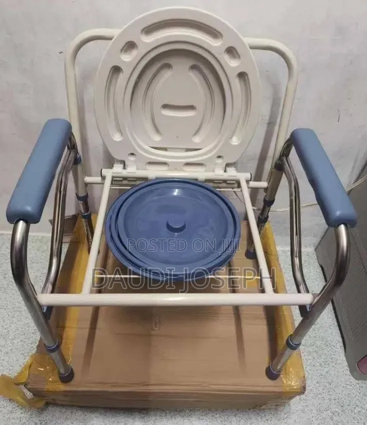 Old Age Toilet Support
