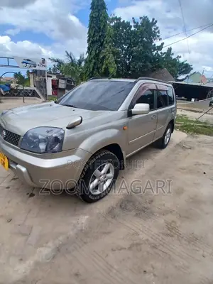 Nissan X-Trail 2006 Beige