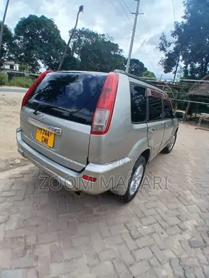 Nissan X-Trail 2006 Beige