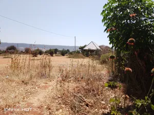 Kiwanja Bora Sokoni
