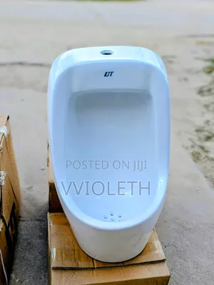 Urinal Toilet