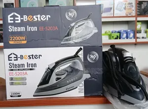 Electric Steam Iron