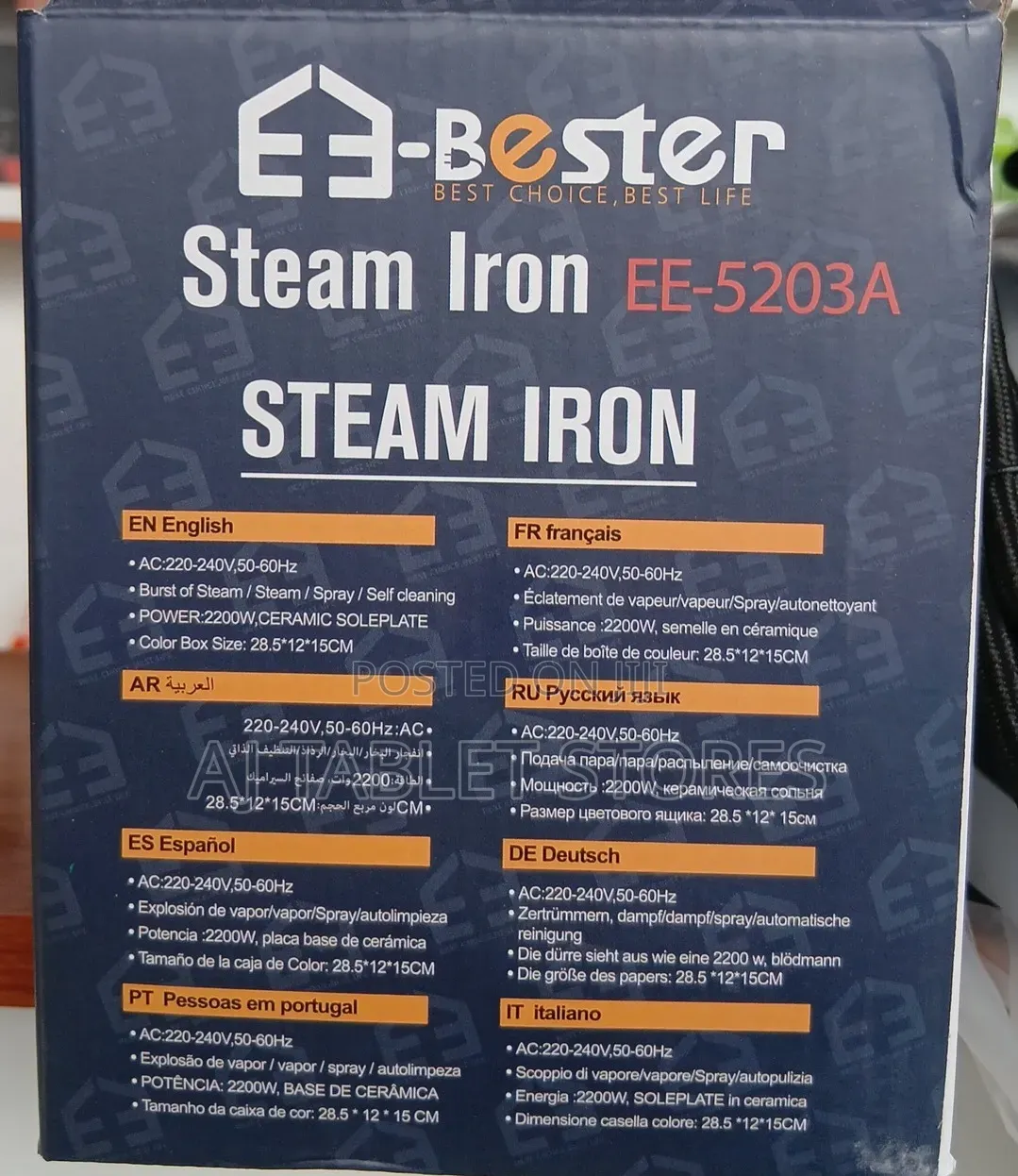 Electric Steam Iron