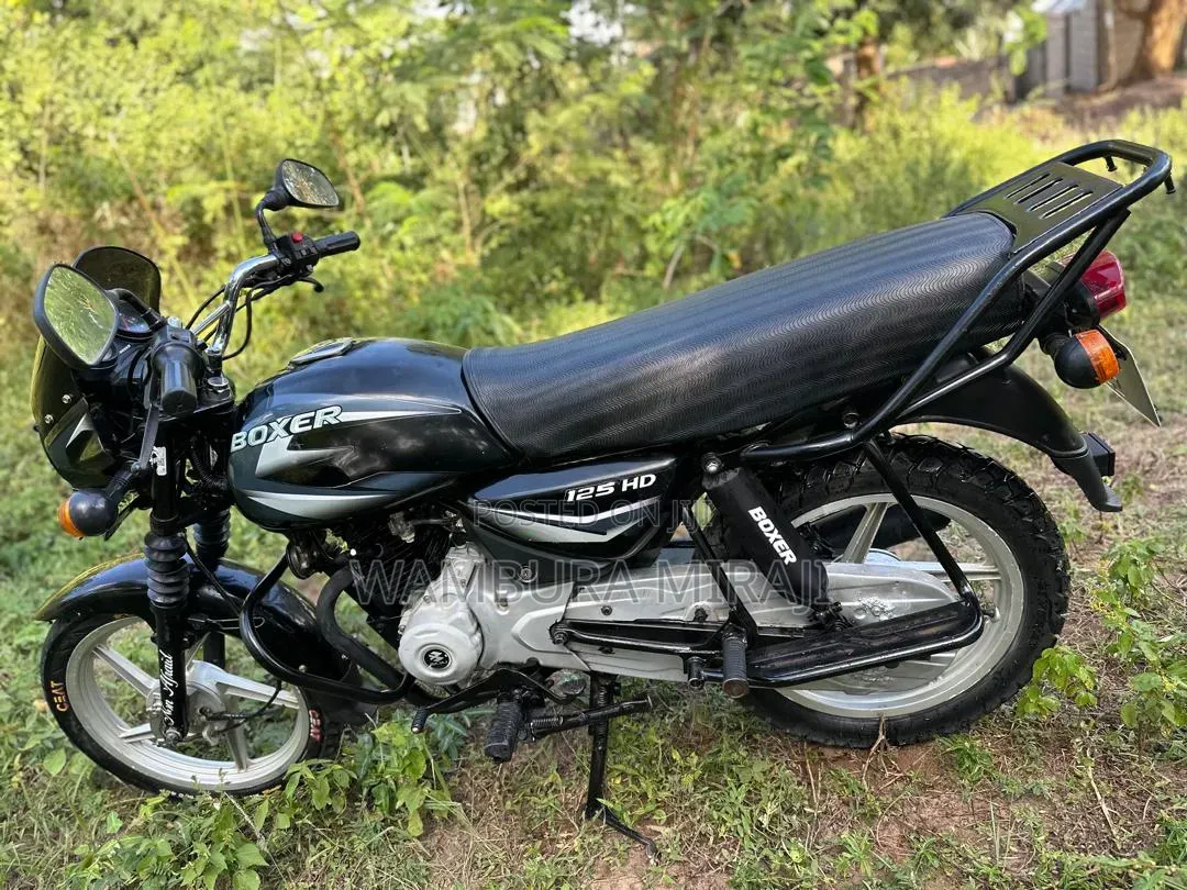 TVS Apache RTR 160 4V Fi 2025 Pink