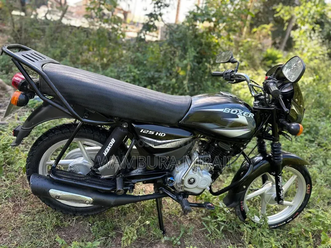TVS Apache RTR 160 4V Fi 2025 Pink