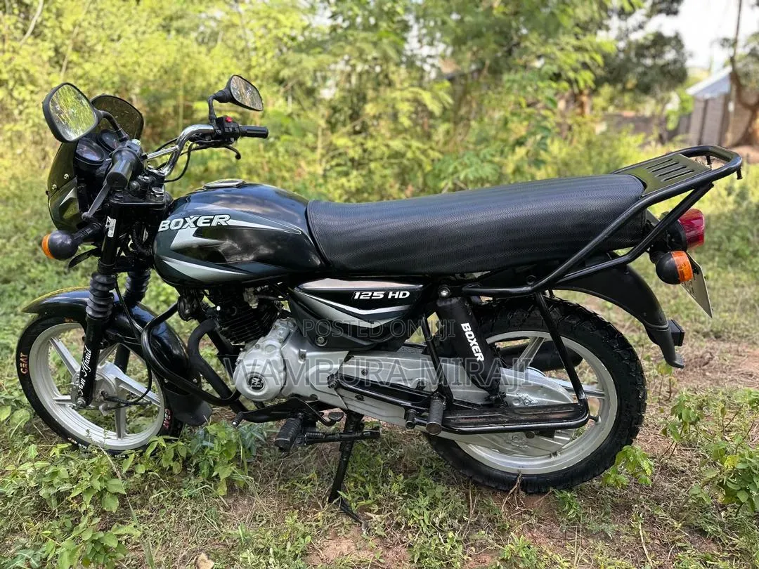 TVS Apache RTR 160 4V Fi 2025 Pink