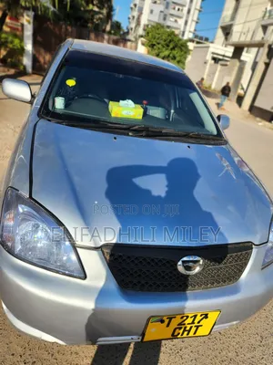 Toyota Allex 2004 Silver