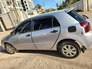 Toyota Allex 2004 Silver