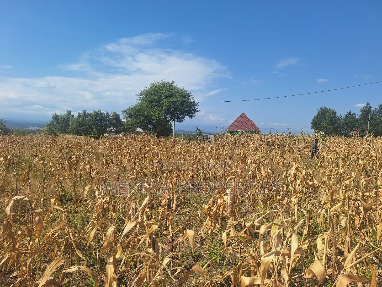 Plot for Sale