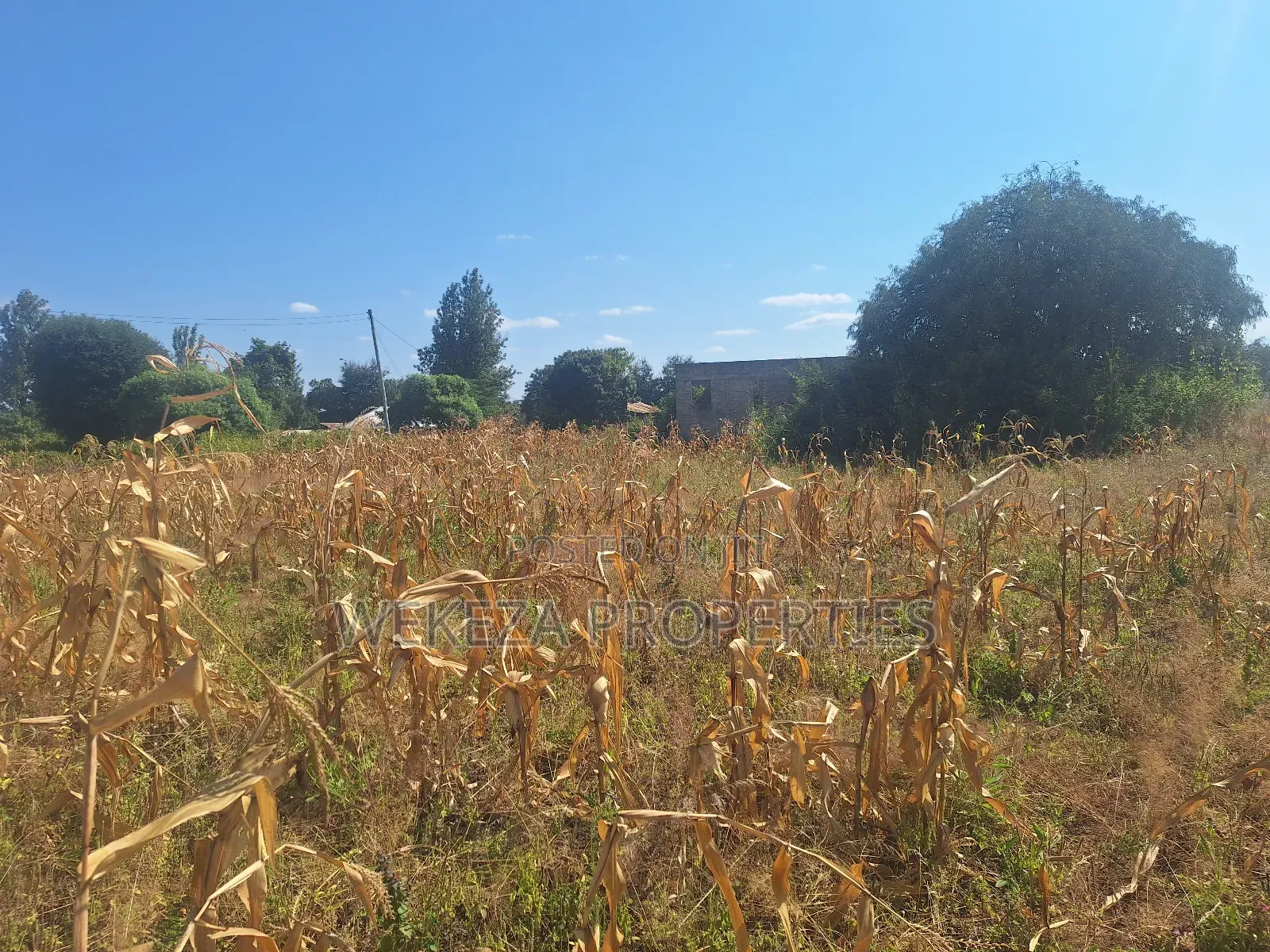 Plot for Sale
