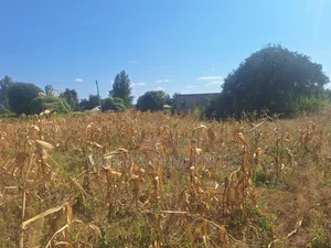 Plot for Sale