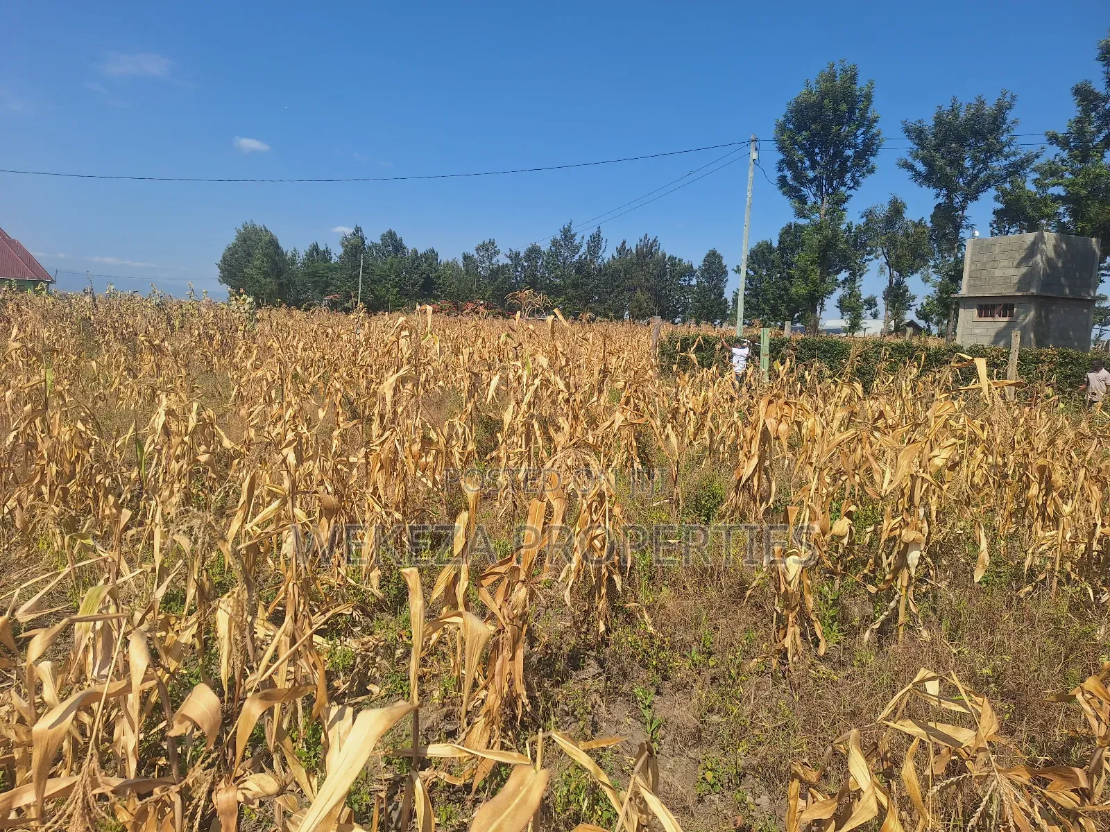 Plot for Sale