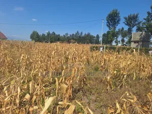 Plot for Sale