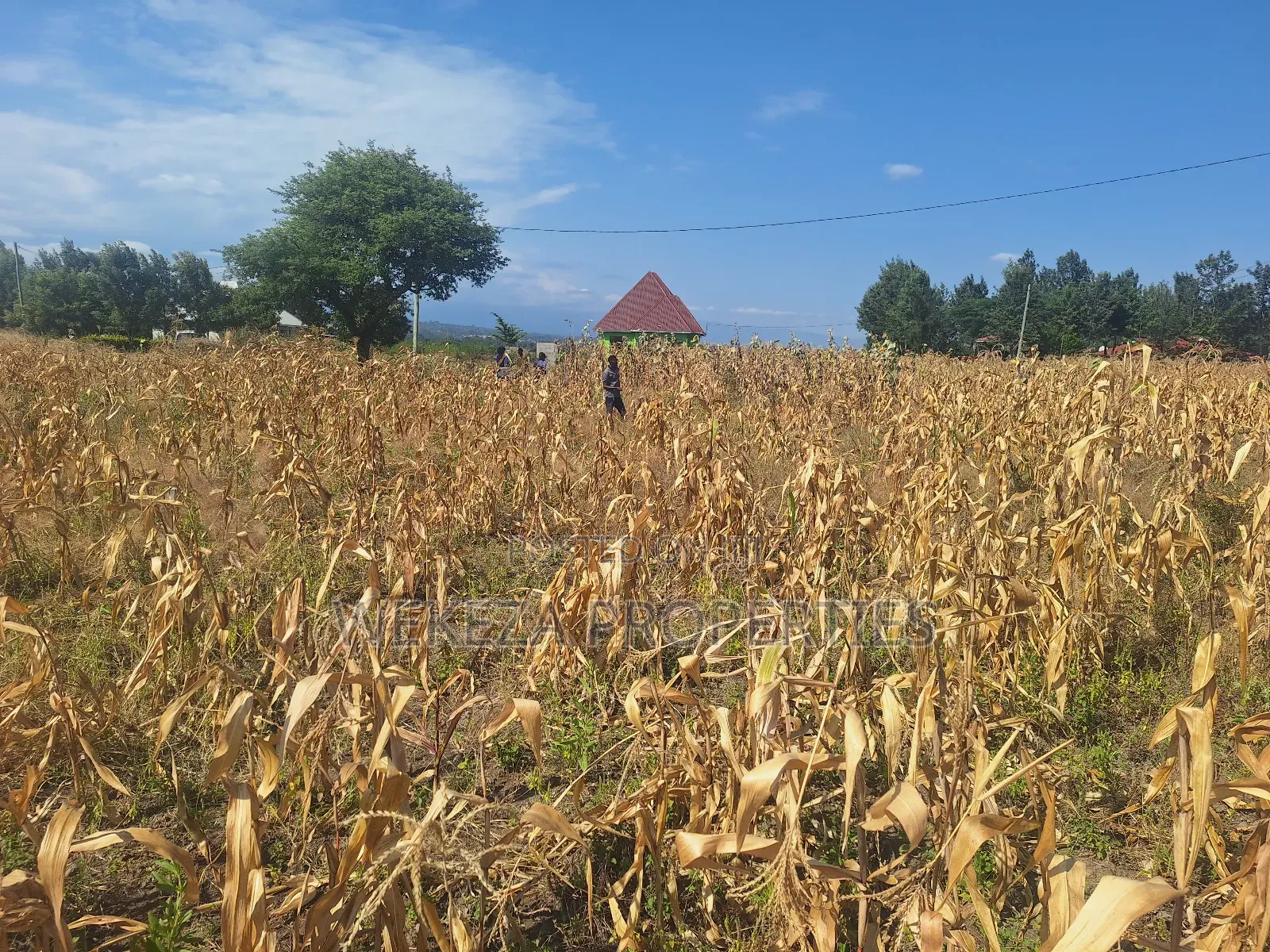 Plot for Sale