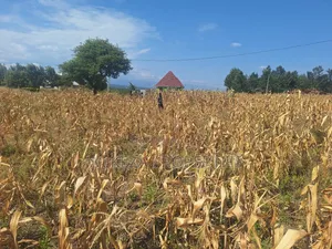 Plot for Sale