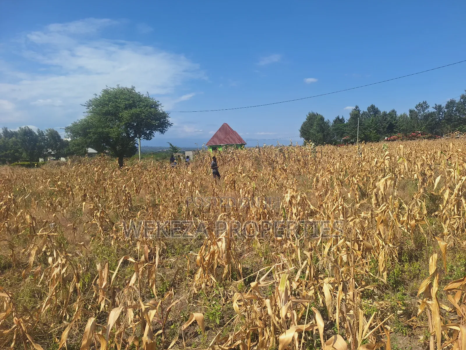 Plot for Sale