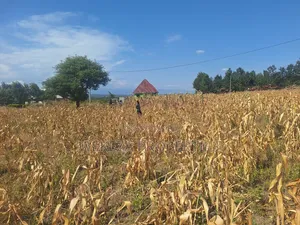 Plot for Sale